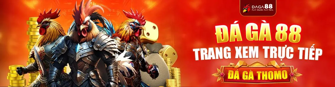 Sân Chơi Đá Gà Trực Tuyến 555win ap